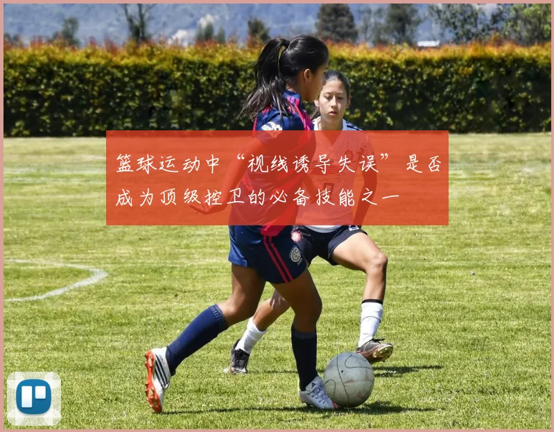篮球运动中“视线诱导失误”是否成为顶级控卫的必备技能之一