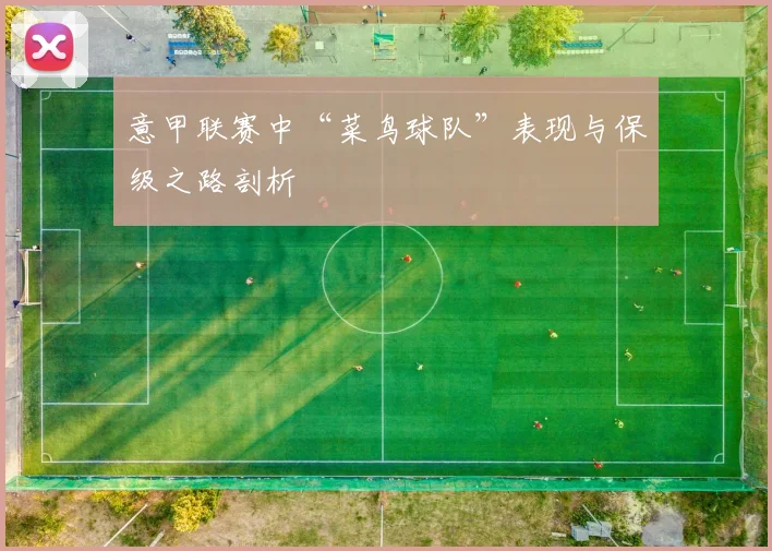 意甲联赛中“菜鸟球队”表现与保级之路剖析