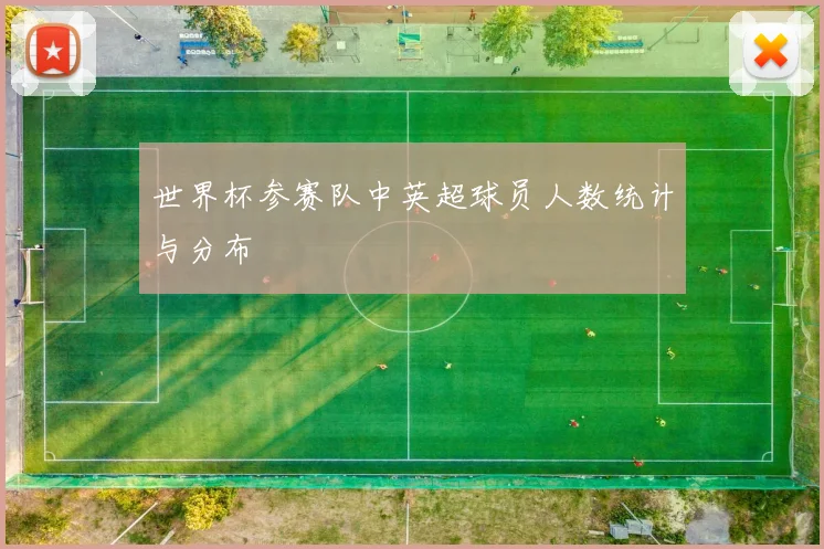 世界杯参赛队中英超球员人数统计与分布